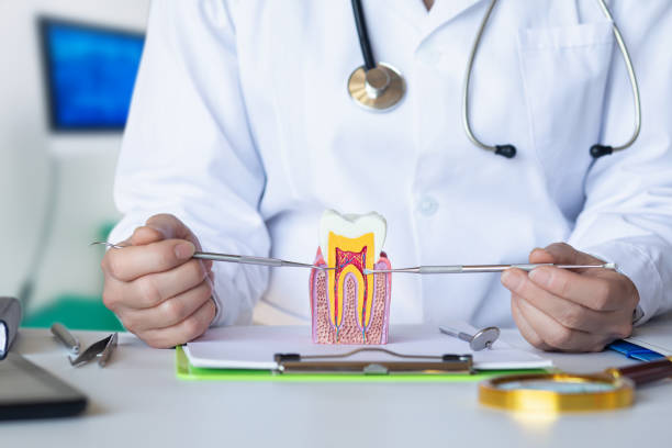 Best Emergency Tooth Extraction in Jerseyvle, IL